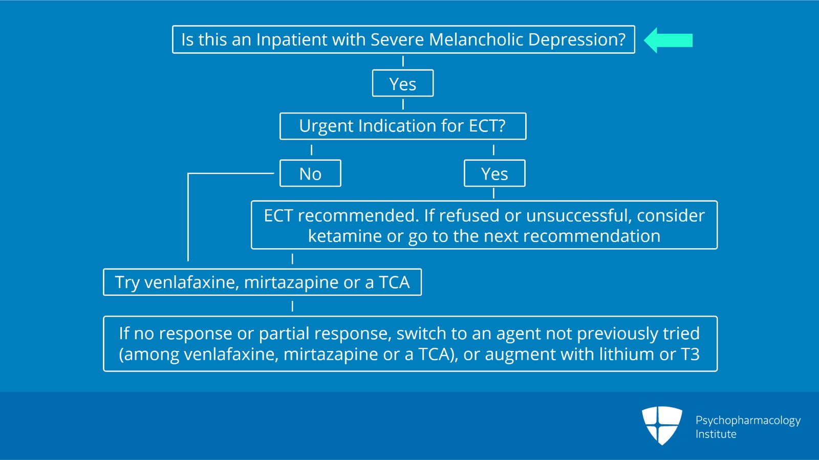 Is This a Patient With Severe Melancholic Depression? (Node 2) Slide 2 of 6