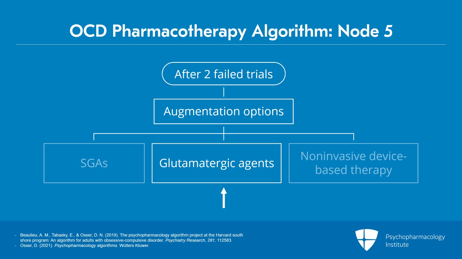 Node 5: Augmentation With Novel Agents: Glutamatergic Agents and Others Slide 2 of 17