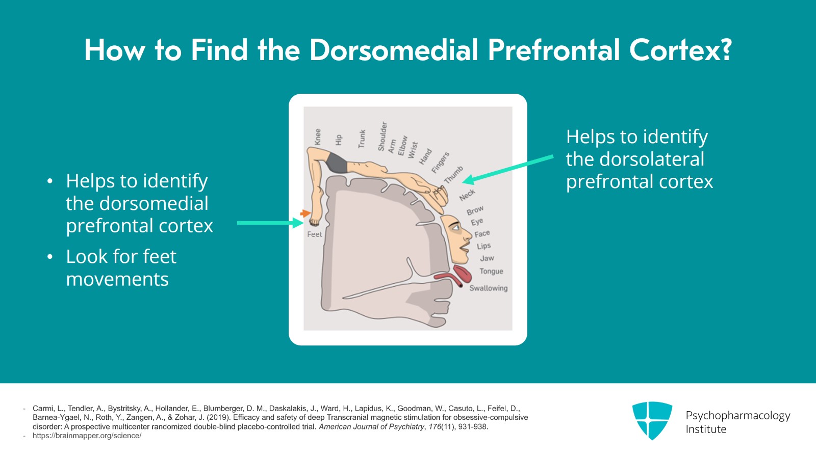 Exploring the Evidence of TMS for OCD Slide 10 of 13