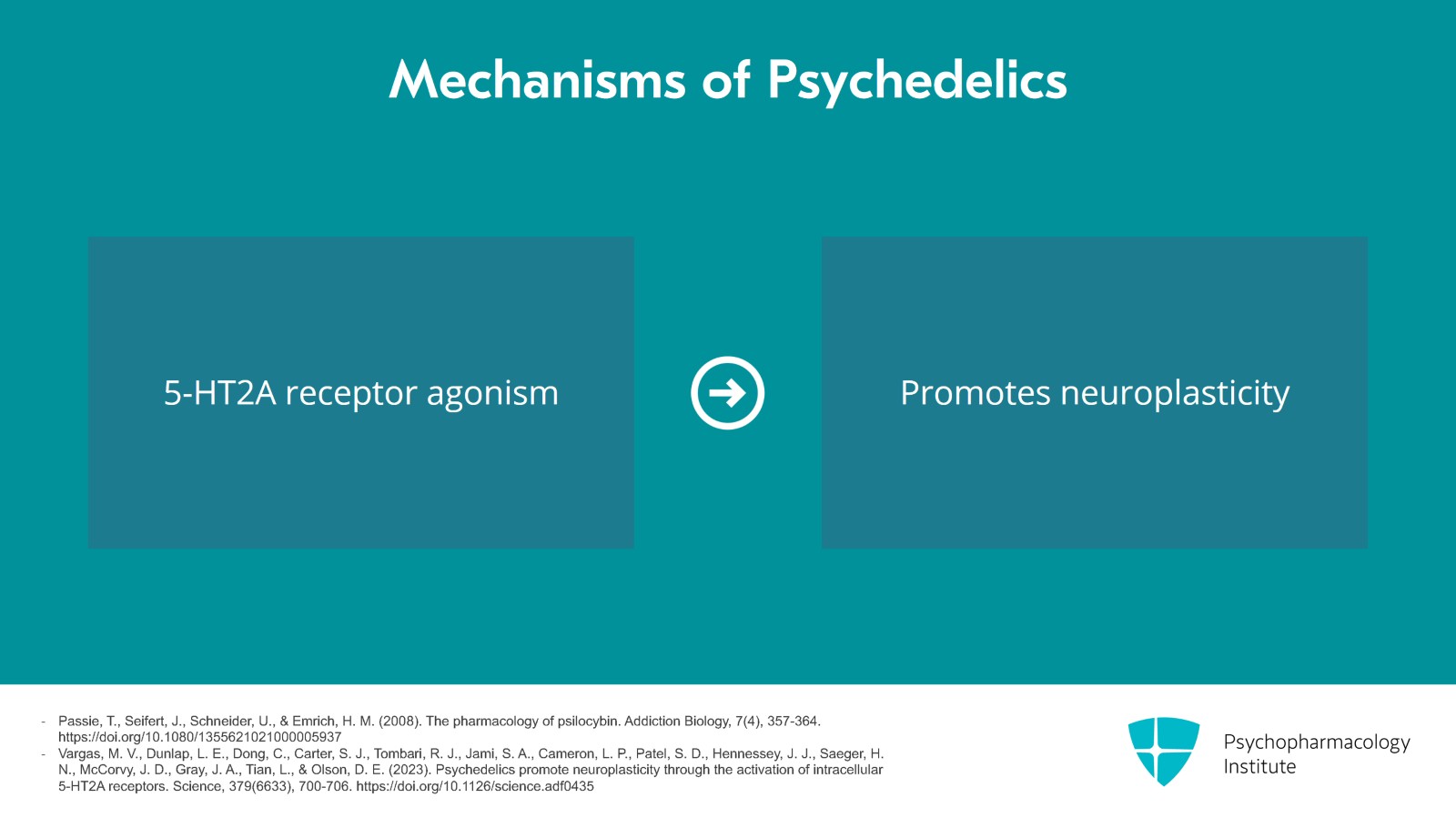 The Mechanisms and Effects of Psychedelics Slide 17 of 23