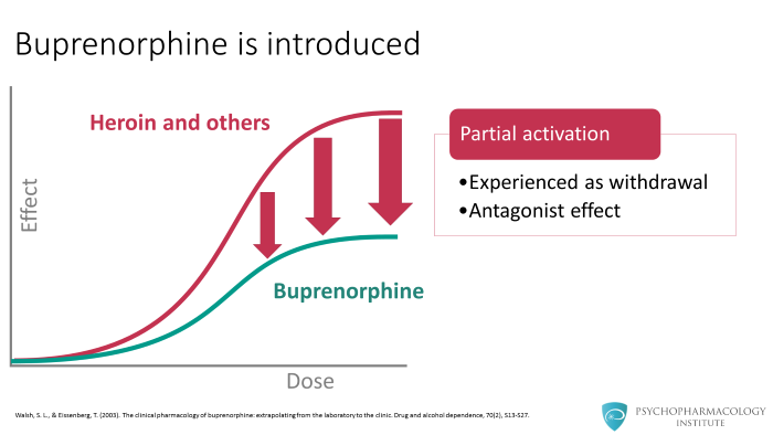 Buprenorphine For Opioid Use Disorder Mechanism Of Action