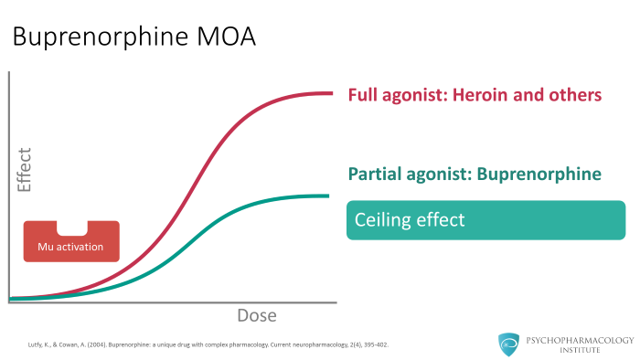 Buprenorphine For Opioid Use Disorder Mechanism Of Action