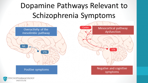 Mechanism Of Action Of Antipsychotic Agents Psychopharmacology Institute