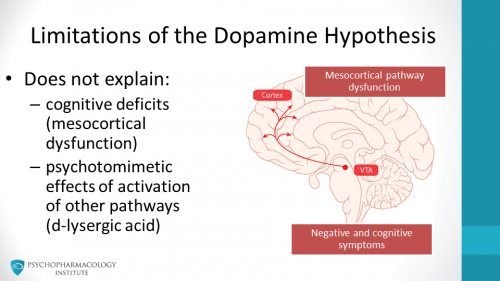 dopamine hypothesis