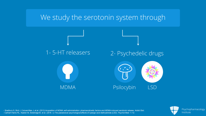 Psychopharmacology Institute